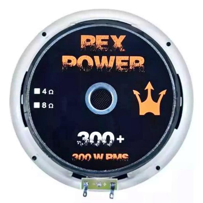 Alto Falante Woofer Magnum Rex Power 300+ 8 Pol 300 W Rms - Alto